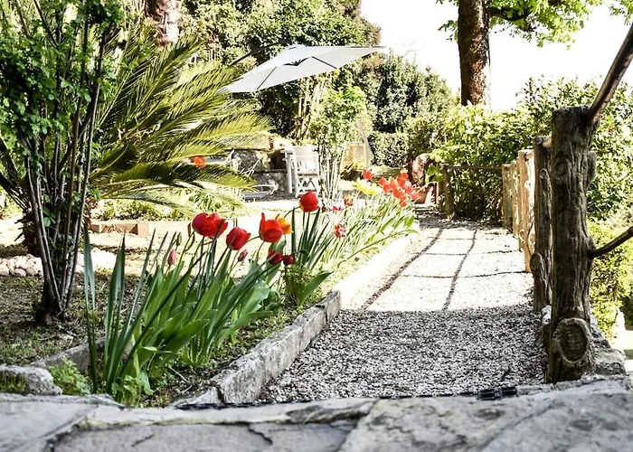 Antonella App Lavinia