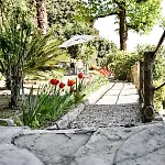 Antonella App Lavinia