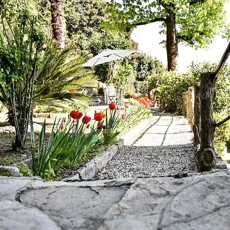 Antonella App Lavinia